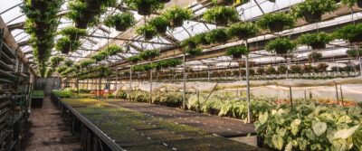 Kralt Greenhouses Coming Soon Banner Image 001