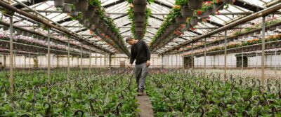 Kralt Greenhouses Coming Soon Banner Image 002