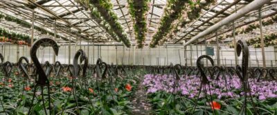 Kralt Greenhouses Coming Soon Banner Image 003