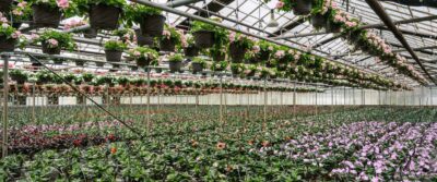 Kralt Greenhouses Coming Soon Banner Image 004