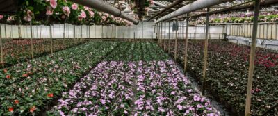 Kralt Greenhouses Coming Soon Banner Image 005