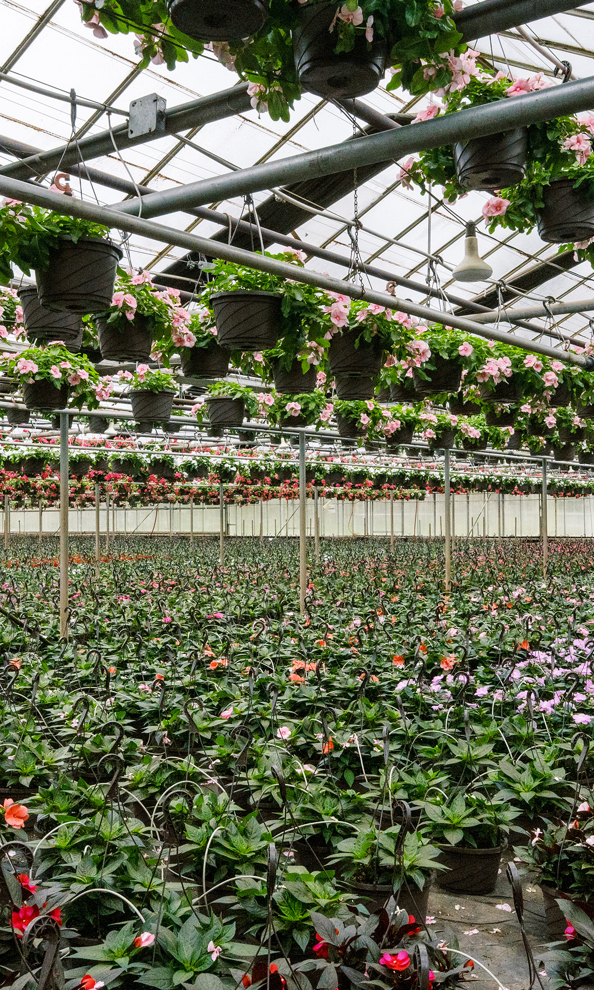 Kralt Greenhouses Coming Soon Mobile Banner Image 002