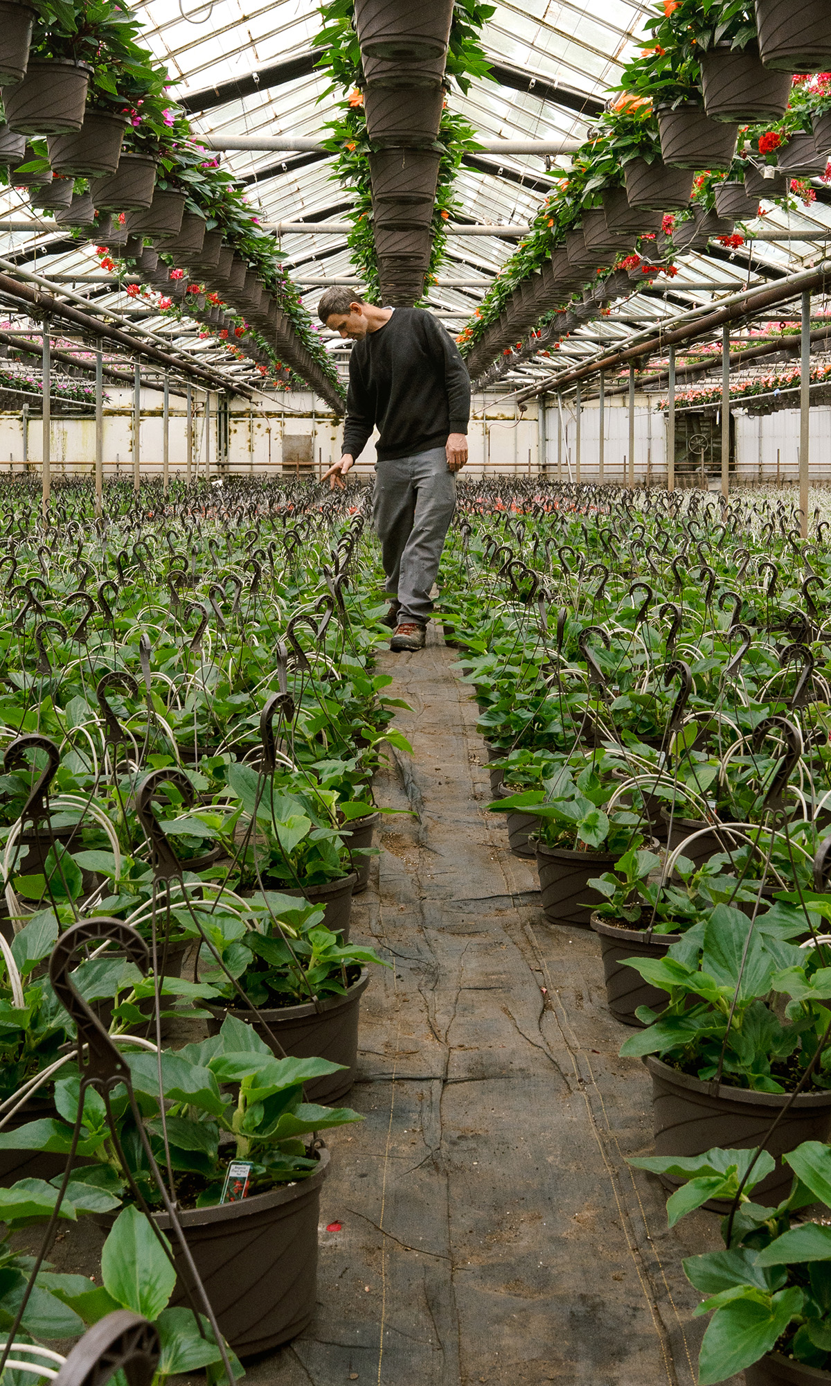 Kralt Greenhouses Coming Soon Mobile Banner Image 007