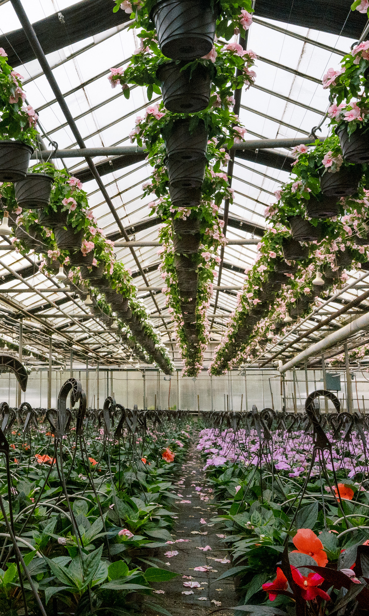 Kralt Greenhouses Coming Soon Mobile Banner Image 008